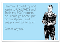 calpadseoy
