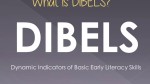 All about DIBELS
