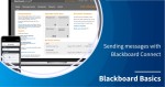 Sending a message in Blackboard Connect