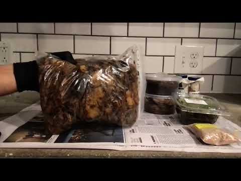5.1 Lesson 1 Set Up the Nurse Log in a Box: Part 1