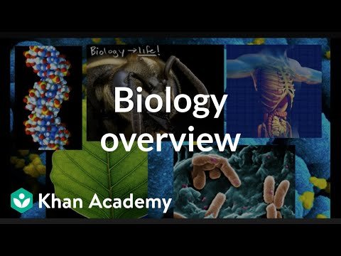Biology overview