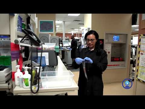 Take Our Daughters and Sons to Work Day Preview - Medical Technologist