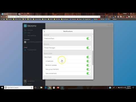 Bloomz Tutorial #1 - Notifications