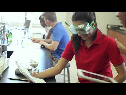 experience chemistry ss7344175